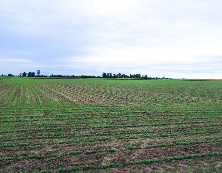 Azienda Agricola Lodigiana