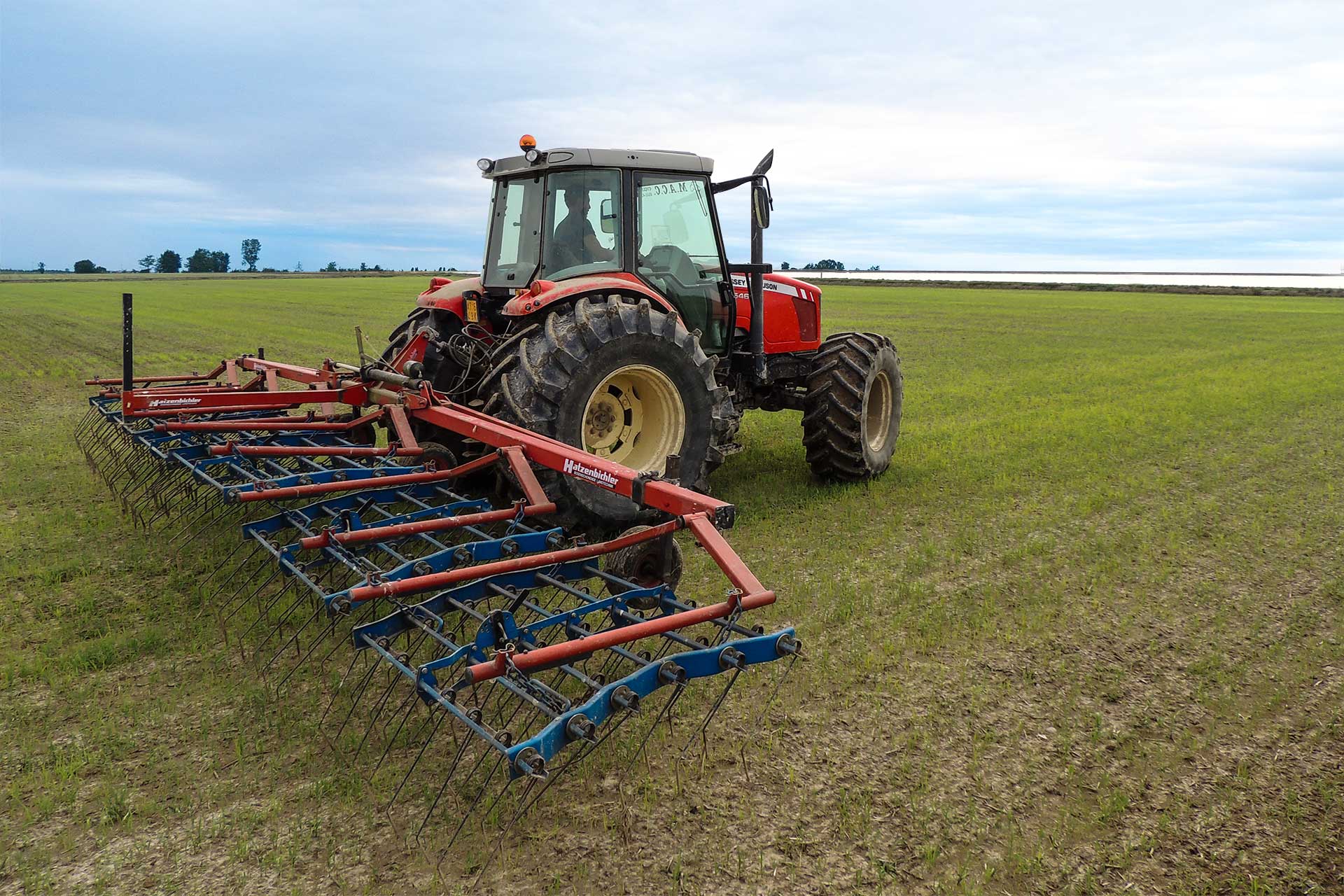 agricola-lodigiana-nel-cuore-del-riso-azienda-agricola-riseria-ronsecco-vercelli-3